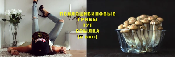 спиды Алексеевка