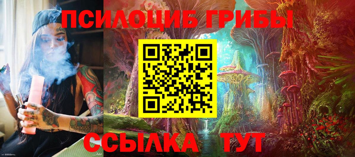 Псилоцибиновые грибы Psilocybine cubensis Волжский
