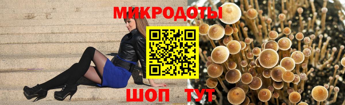Волжский  Галлюциногенные грибы ЛСД  Вход с VPN 